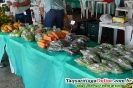 1ª  FEAFAM ( Feira da Agricultura Familiar de Taquaritinga