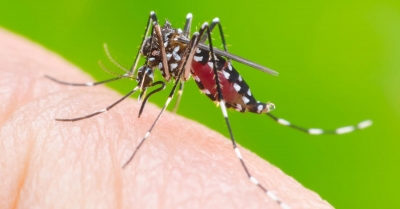 Jaboticabal: campanha conscientiza sobre o combate ao mosquito transmissor da dengue.